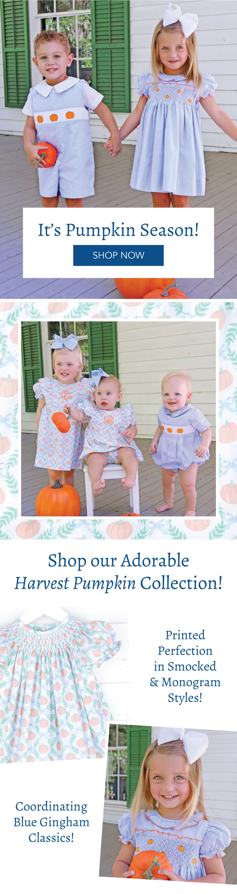 Shop our Adorable Harvest Pumpkin Collection!