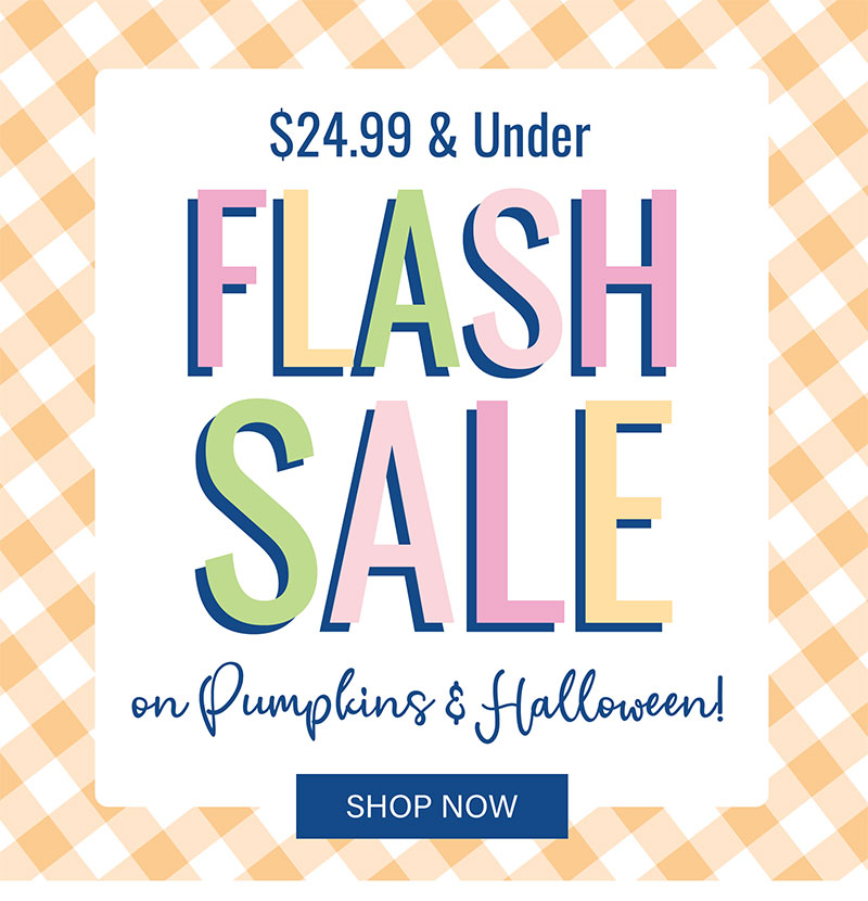 Flash Sale On Pumpkins & Halloween! $24.99 & Under!